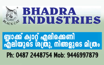 Bhadra Industries